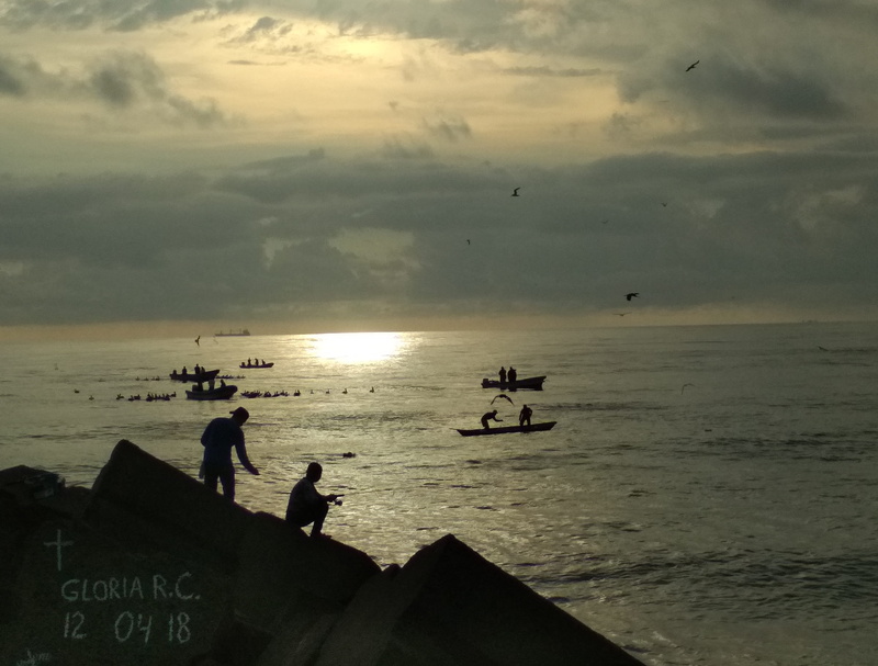 boca del río, tranquil scene, water, pesca, fishing at dawn, outdoors, beauty in nature, fishing boats, mexico, nature, fishing, horizon, real people, fishing against the light