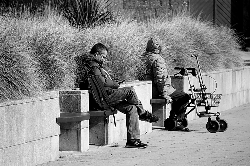 adult, bancs, 4K, mammal, ape, bench, day, senior adult, full length, outdoors, nature, men, transportation, humains, noir et blanc, primate, lifestyles