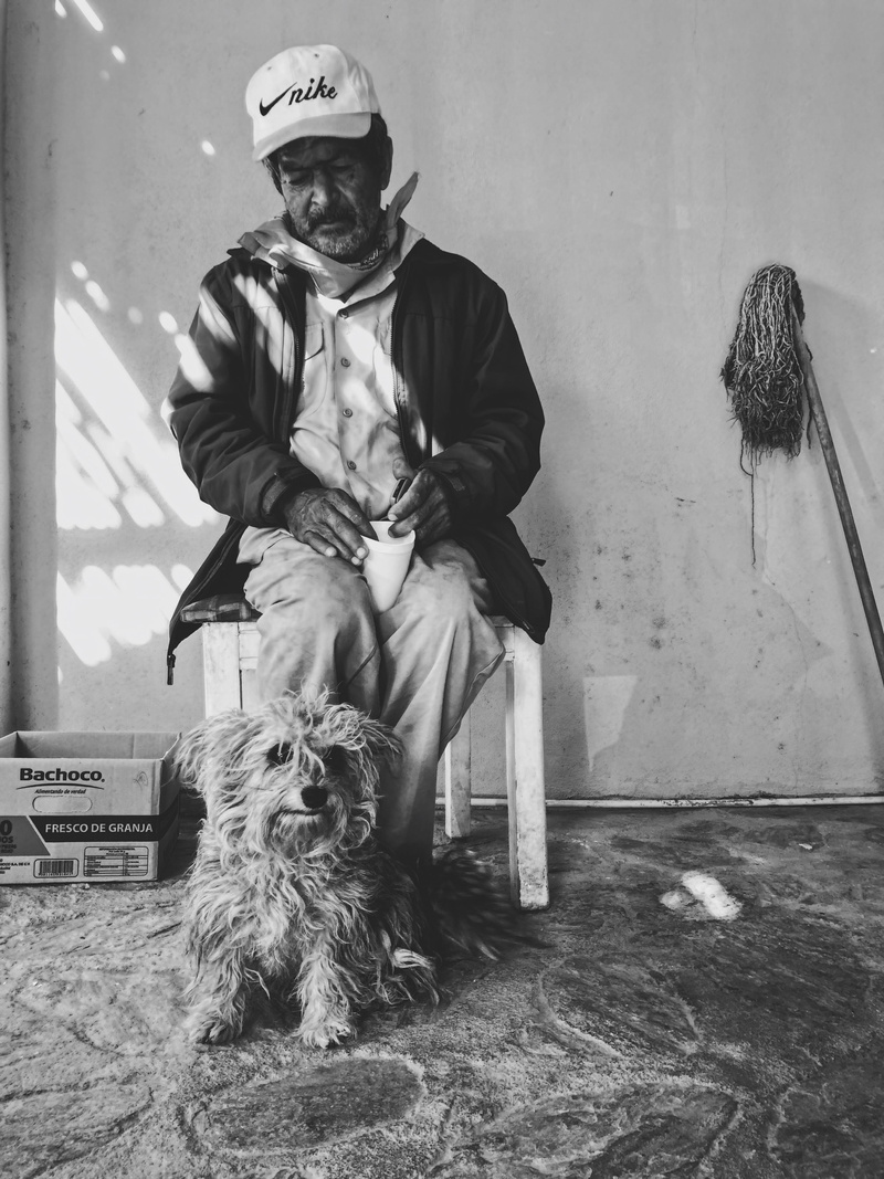 vertebrate, personas, hombre, people, 4K, males, perro, canine, domestic animals, sitting, pets, men, pet owner, dog, real people, old man, viejo, mature men