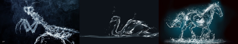 studio shot, multi, 5K, motion, no people, indoors, art, nature, bathroom, wet, black background, multiple, animal, screen, triple, healthy lifestyle