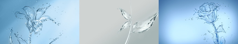 triple, water, plant, multi, art, plante, eau, 5K, monitor, multiple, screen