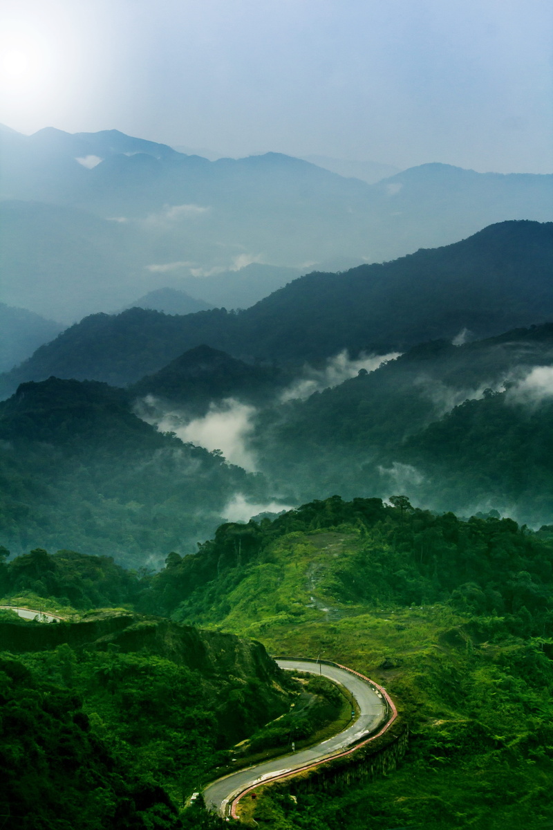 countryside, transportation, 5K, cable, tree, land, high, highlands, mountain, genting highland, no people, mountain peak, fog, tranquility, tranquil scene