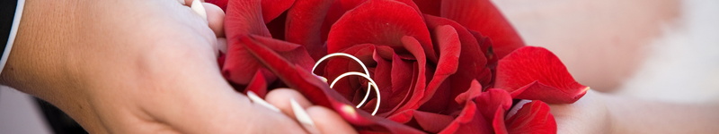5K, amour, multi, screen, valentine, multiple, triple, love, marriage, monitor