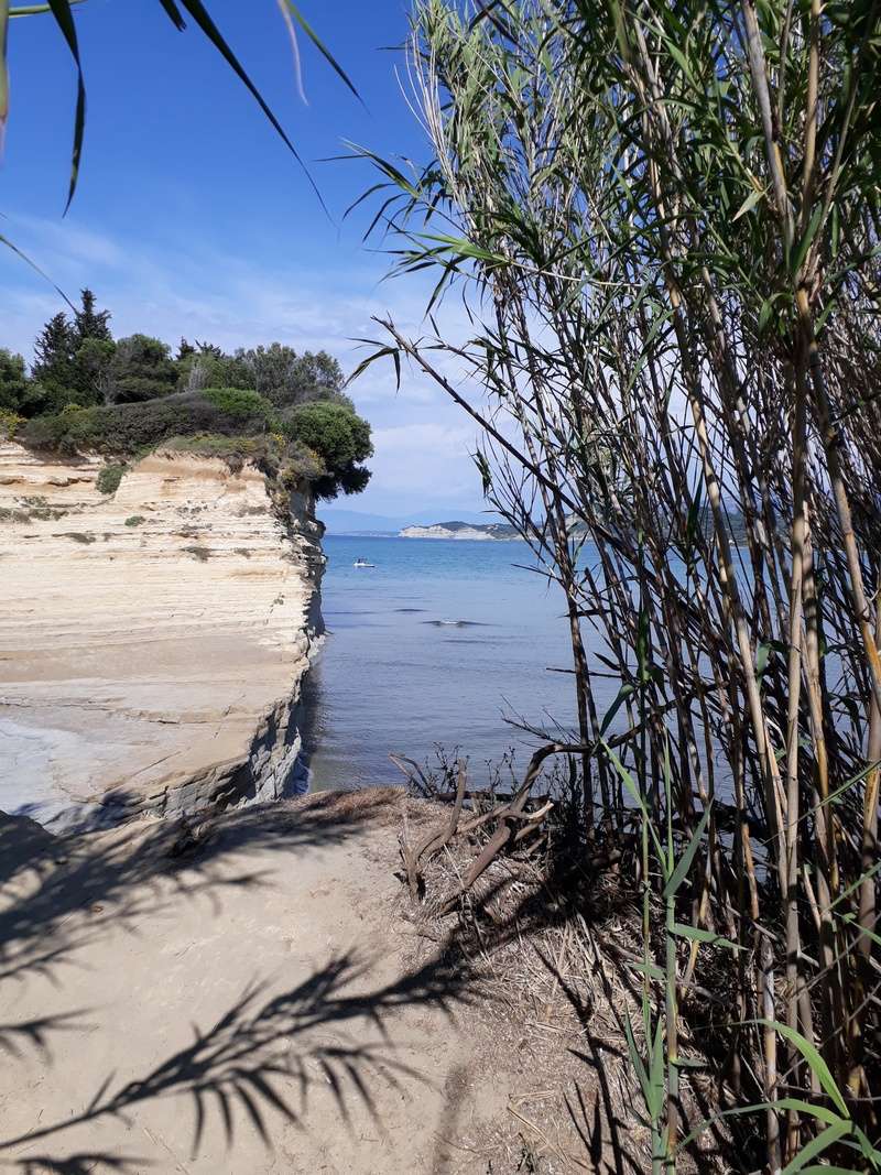 corfu, tree, beauty in nature, 4K, beach, sky, land, nature, amour, scenics - nature, cannal, non-urban scene, tranquil scene, growth, no people, sea