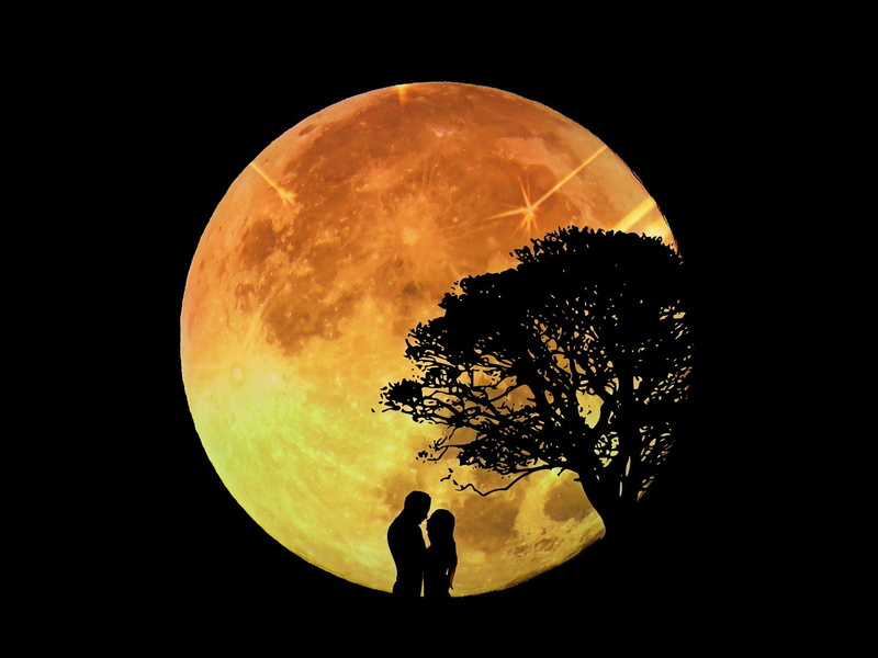 noche, bajo, luna, 1080P, amor