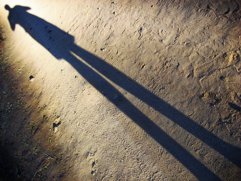 outdoors, shadow, pisco elqui, iv región, 1080P, close-up, sunlight, no people, long shadow - shadow, brown, wall, high angle view, sombra, nature, focus on shadow