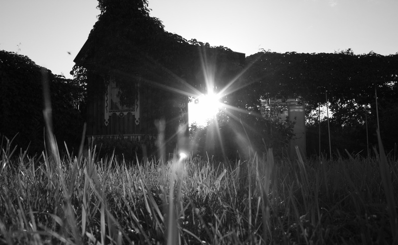Black and White, Contrejour, 4K
