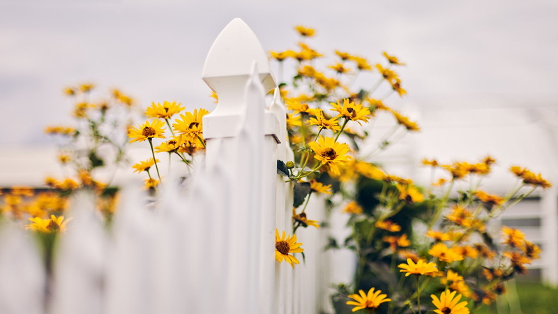 nature, landscape, plant, architecture, fence, flower, day, sky, outdoors, flowers, yellow flowers, flower head, agriculture, 1080P, depth of field, springtime