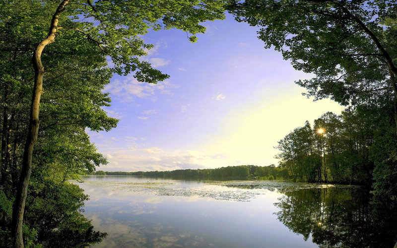 nature, 1920x1200, green, lake, tree, enormous, 1080P, river, summer
