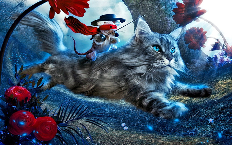 humor, abstracto, 1080P, gato, jinete