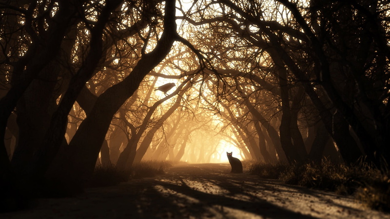 fantasy art, birds, plant, sunlight, land, real people, tranquility, direction, beauty in nature, cat, outdoors, the way forward, leisure activity, red eyes