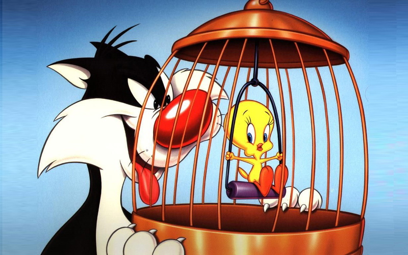 cage, bird, tweety, sylvester, hd, 1080P, cat, cartoon