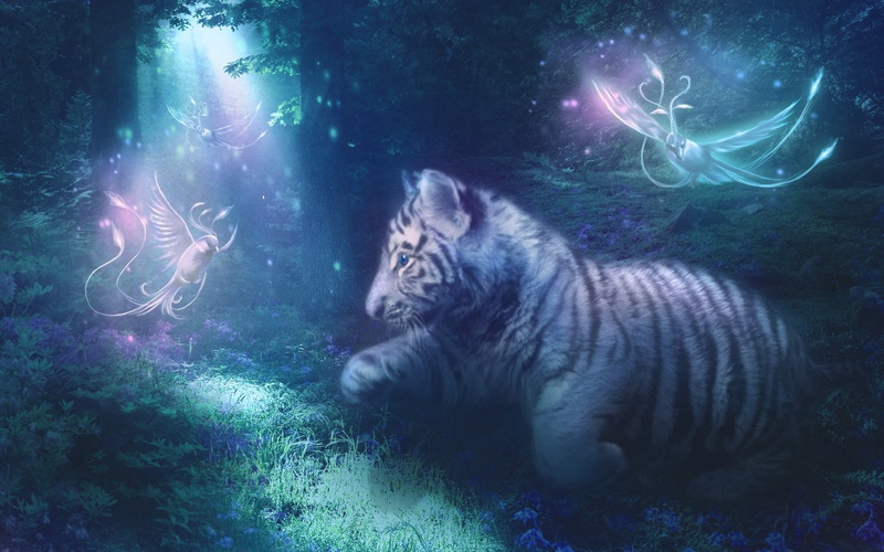 pine trees, cubs, feline, trees, grass, tiger, animals, white tigers, birds, baby animals, cat, 1080P, plants