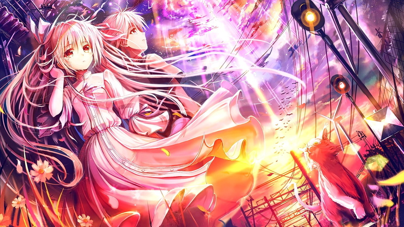 animals, looking away, birds, 1080P, sky, pink hair, cat, crying, clouds, anime girls, anime, red eyes, long hair, flowers