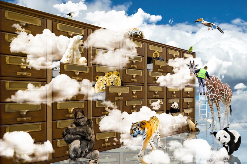 fantasy, drawer, tiger, 2K, day, snow, sky, building exterior, gorilla, human representation, representation, art and craft, white color, panda, giraffe
