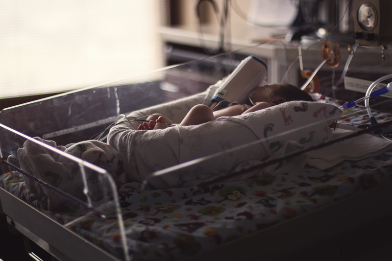 textile industry, 5K, nest, newborn, parent, selective focus, infant, napping, innocent, little, childhood, furniture, window, white, people, industry