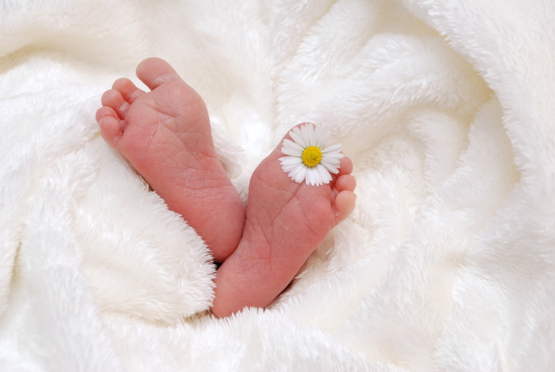 person, towel, feet, gift, fur, greeting card, human foot, expression, luck, fragility, cute, softness, s, body part, left, innocence, daisy, newborn, human Hand