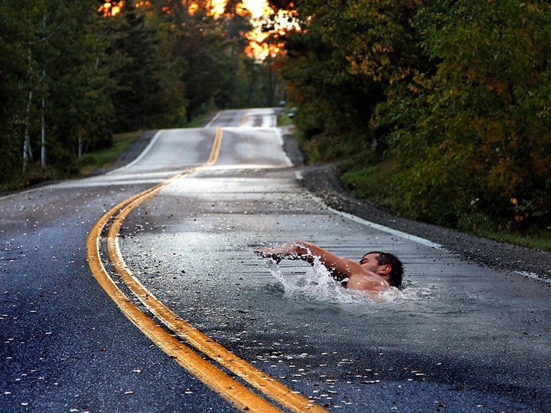 transportation, relaxation, plant, black, day, Swimmer, portrait, tree, outdoors, young Adult, females, Road, lifestyles, autumn, city, car, path, people