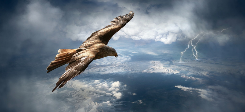 animal wing, no people, fairytale, light, magical, spread wings, vertebrate, 5K, magic, animals in the wild, animal wildlife, nature, weather, animal themes