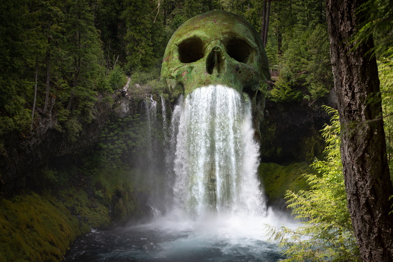 gloomy, blurred motion, motion, land, environment, plant, skull, woodland, photomontage, flowing water, surreal, dream, scenics - nature, long exposure