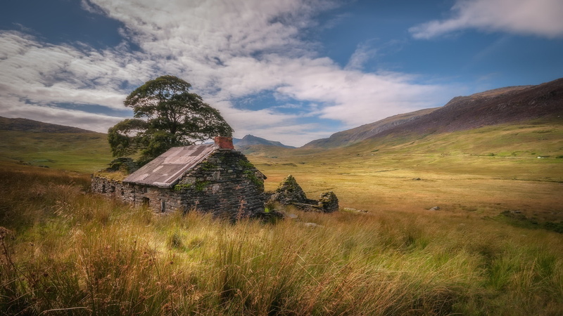 nature, house, landscape, ruin, 1080P, abandoned