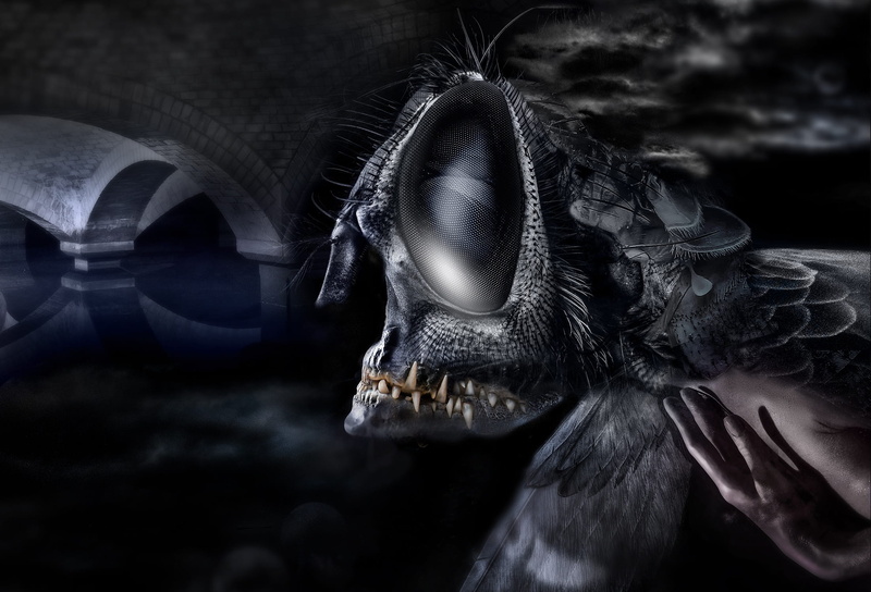 no people, scary, creepy, background, outdoors, animal, animal wildlife, night beings, animals in the wild, focus on foreground, day, turns, darkness, horror