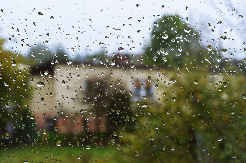 rainy season, day, wet, drops of water, glass - material, drop of rain, glass, drops, pane, nature, raindrop, architecture, monsoon, 4K, plant