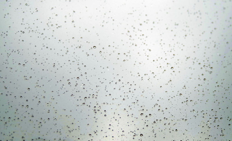 window, precipitation, rain, pane, backgrounds, sad, bird, no people, 5K, the downpour, after the rain, photography, flock of birds, glass - material
