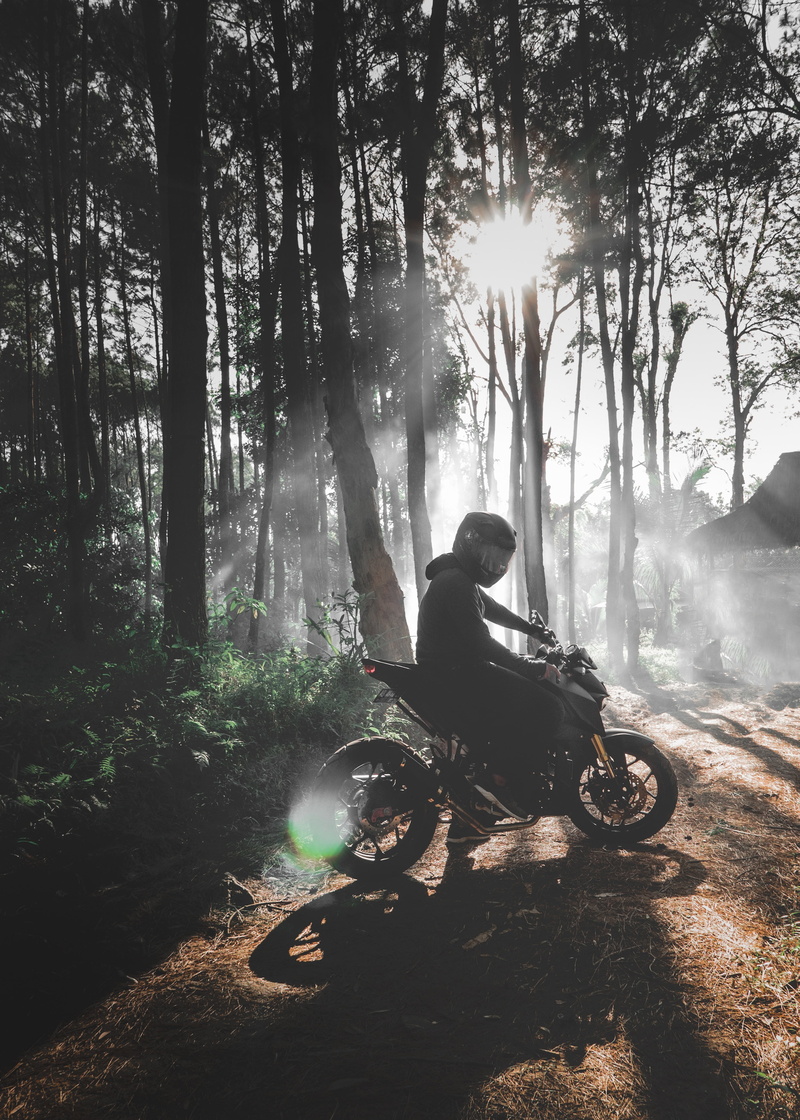 adult, plant, day, trunk, land, nature, tree, bike, full length, transportation, forest, lens flare, sunbeam, fog, bicycle, real people, leisure activity
