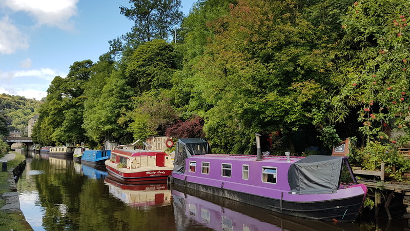 rowboat, growth, green color, transportation, day, recreational boat, waterfront, no people, plant, water, narrowboat, barge, lake, moored, nautical vessel