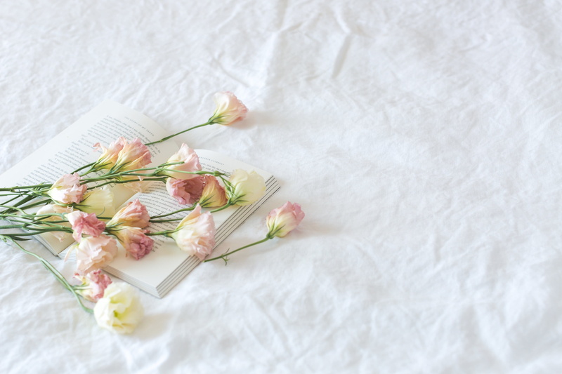 bed, pedals, no people, white color, Romantic, healthy eating, herb, french food, still life, copy space, studio shot, pink, Love, indoors, beauty in nature