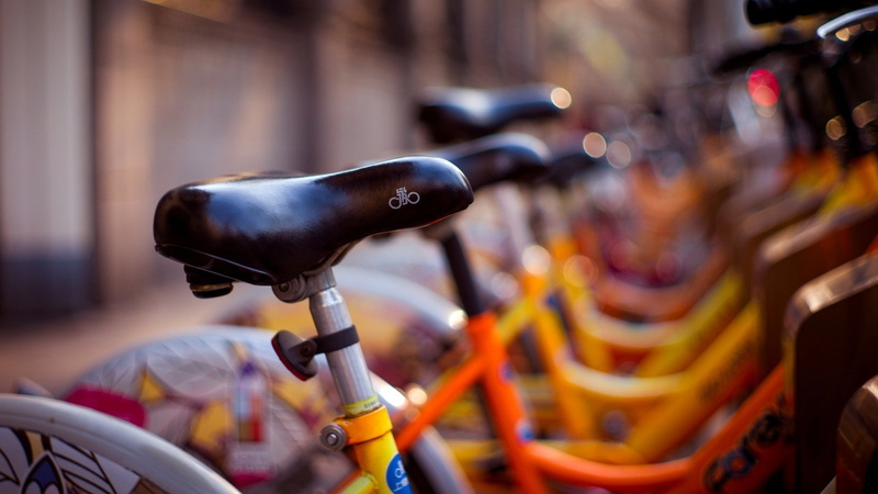 animal, no people, transportation, blurred, focus on foreground, absence, city, selective focus, stationary, motorcycle, animal themes, wheel, depth of field