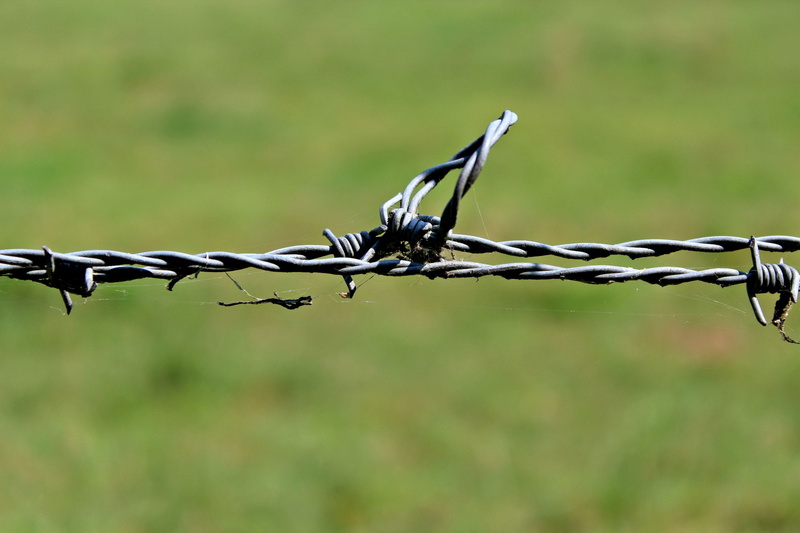 limit, outdoors, Thorn, metal, 2K, old, caution, close, barrier, verrostst, safety, demarcation, sign, Barbed Wire, risk, wiring, stainless, Fence, day
