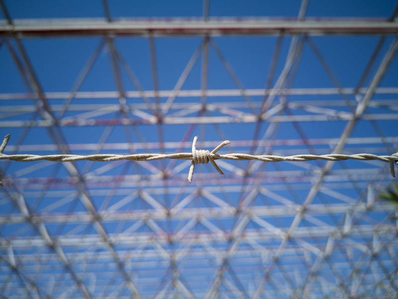 one animal, protection, security, macro, boundary, 5K, day, close, engel, barbed wire, steel, safe, animal themes, attention, wire, detail, prison, blue