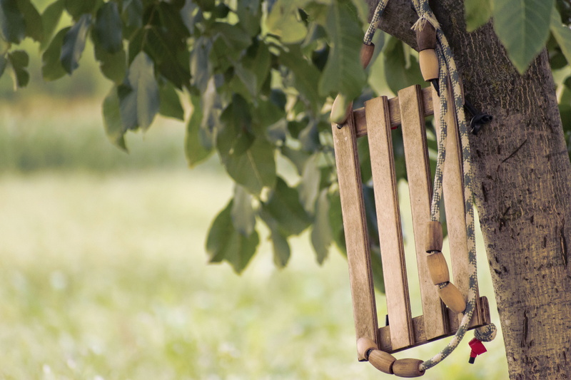 plant part, wooden, security, blur, focus on foreground, leaves, wood - material, shoe, fence, tree, plant, summer, trunk, 5K, nature, no people, field
