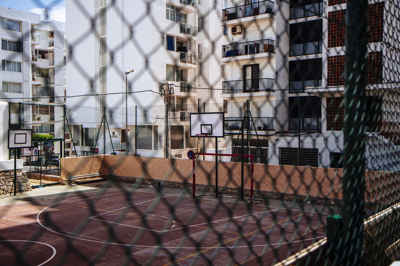 plant, vehicle, no people, basketball, court, residential district, built structure, handrail, office, basket, city, chair, window, barrier, outdoors, empty