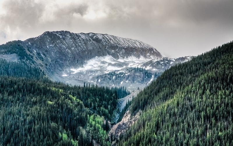 environment, scenics - nature, clouds, no people, pine woodland, black, winter, tranquility, plant, nature, mountain range, snow, coniferous tree, Colorado