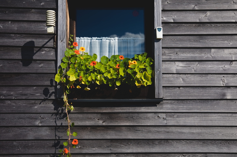wood - material, plant, plant part, flower pot, wooden, building exterior, built structure, potted plant, weather station, window sill, architecture, style