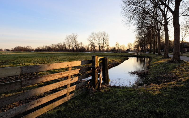 plant, scenics - nature, grass, brown, land, outdoors, sky, field, tranquil scene, wood - material, white, fence, tranquility, nature, river, 2K, no people