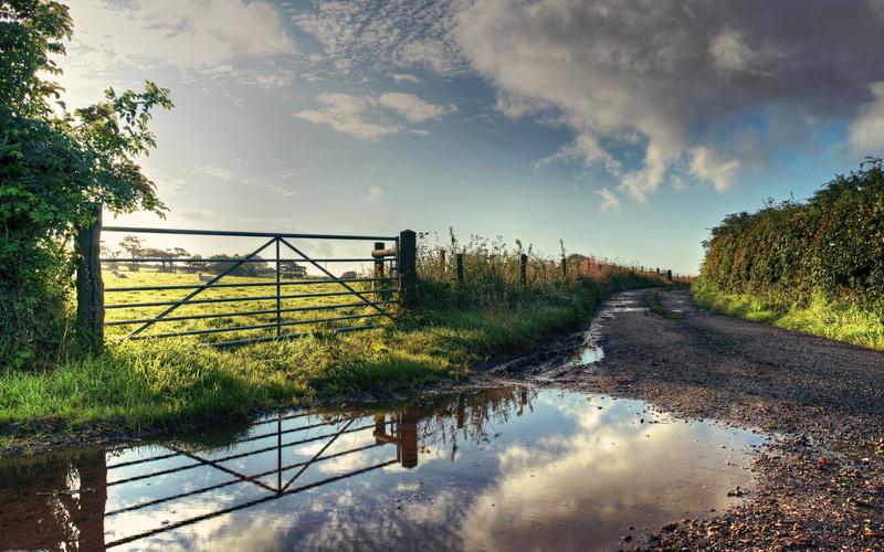 nature, non-urban scene, fence, clouds, growth, water, beauty in nature, plant, outdoors, lake, tree, puddle, sky, wooden, no people, tranquility, brown