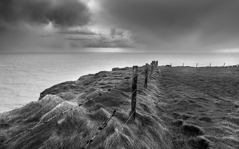 ocean, grass, nature, hd, barb, coast, wire, bw, fence, 2K