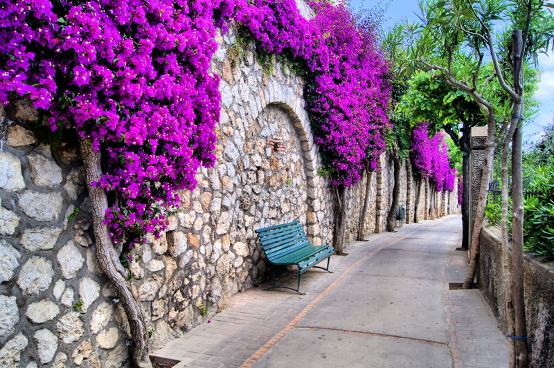 park - Man Made Space, old, pink, cultures, stone wall, town, green Color, the way forward, nature, Italy, leaf, arch, cobblestone, streets, springtime