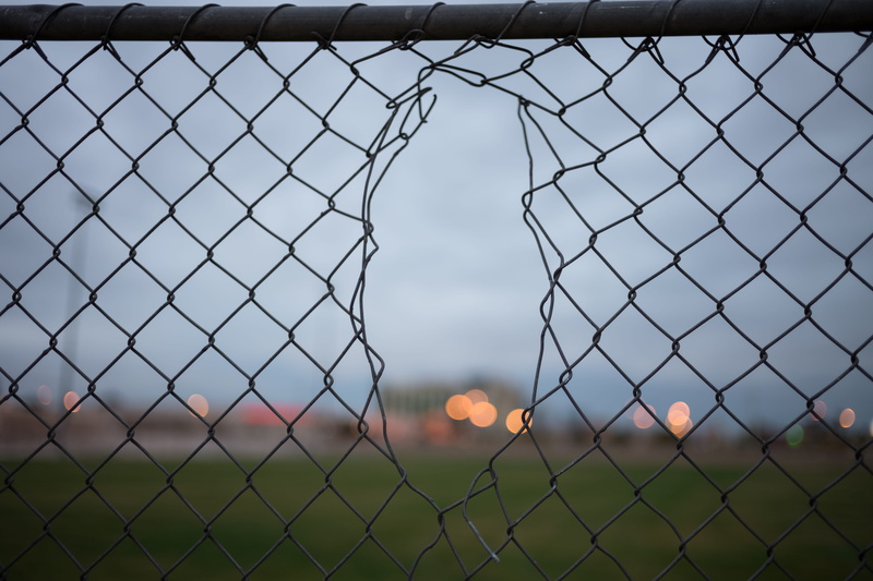 baseball, mammal, boundary, sphere, land, tiger, pattern, 5K, chainlink fence, day, silhouette, sports, wildlife, animal, barrier, barricade, soccer, field