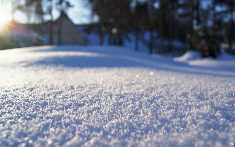 day, 480P, outdoors, selective focus, photograph, nature, city, car, no people, surface level, plant, cold temperature, winter, focus, frozen, beauty in nature