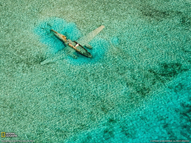 animal, sea, high angle view, best, water, nature, airplane, land, brown, no people, 1080P, nautical vessel, national, day, plane, w, animal wildlife