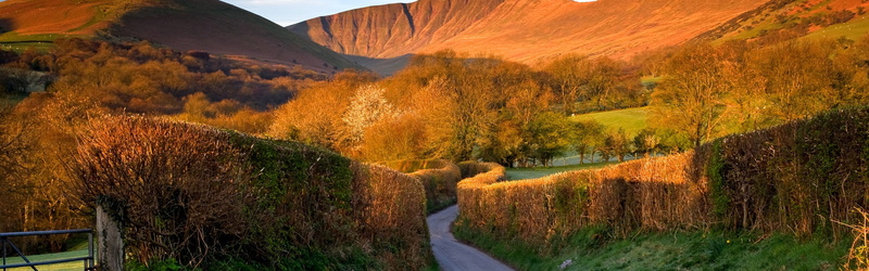 Trees, Road, Beacons, Mountains, UK, 4K, Wales, Brecon