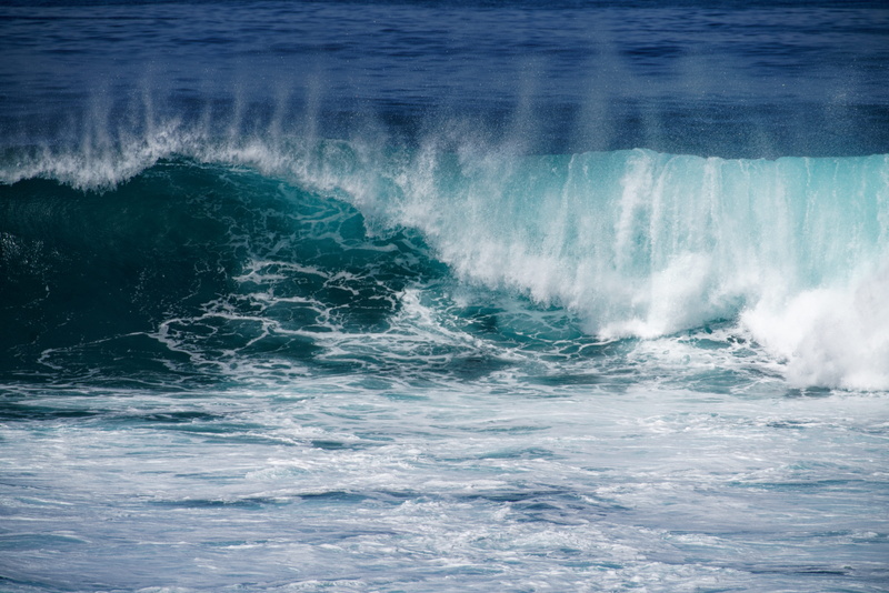 splashing, scenics - nature, power in nature, beauty in nature, action, sea waves, sea, motion, aquatic sport, wave, water, 8K, sea life, ocean, day, nature