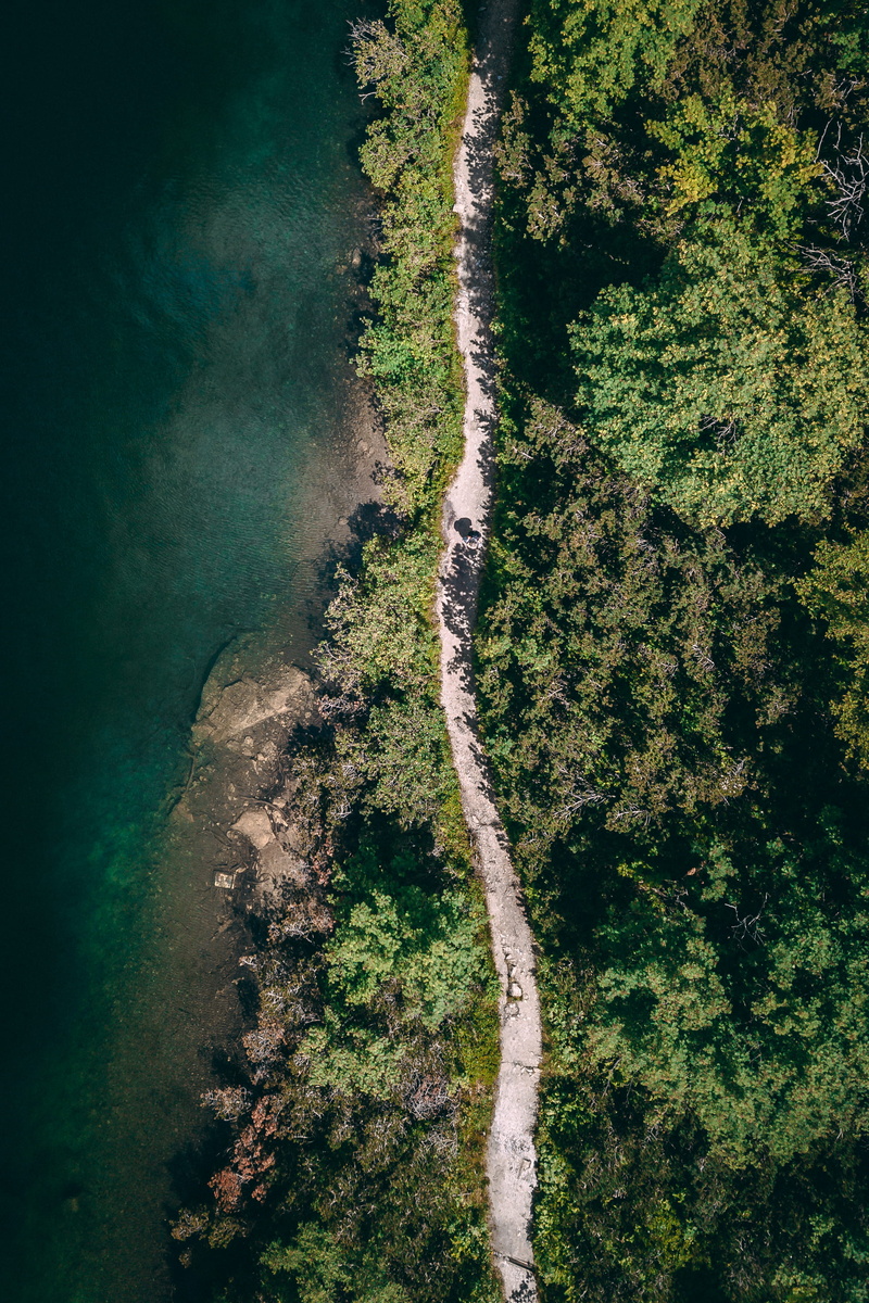 trees, idyllic, aerial view, nature, slovakia, coastline, environment, 2K, path, land, plant, flowing water, water, foliage, non-urban scene, gravel, shoreline