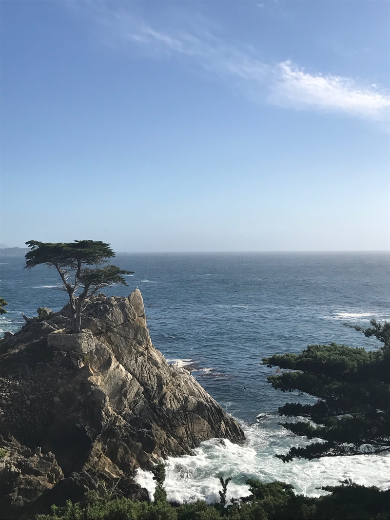 america, beauty in nature, non-urban scene, sur, coastline, coast, ocean, cloud - sky, route, beach, waves, rock, carmel, day, water, pacific, road, usa
