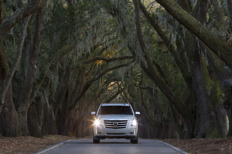cadillac, platinum, escalade, 1080P, car